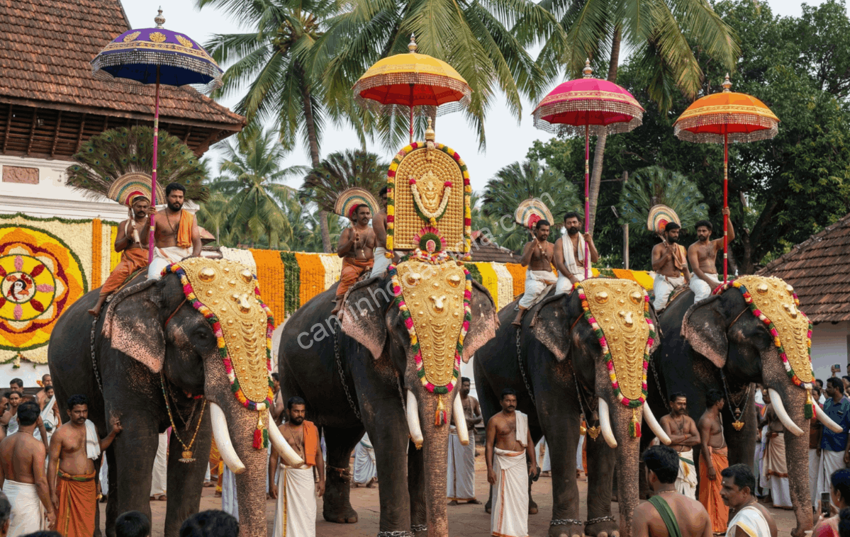 elefantes-decorados-antes-da-procissao-onam Elefantes decorados com ornamentos tradicionais antes de uma procissão durante o Onam em Kerala