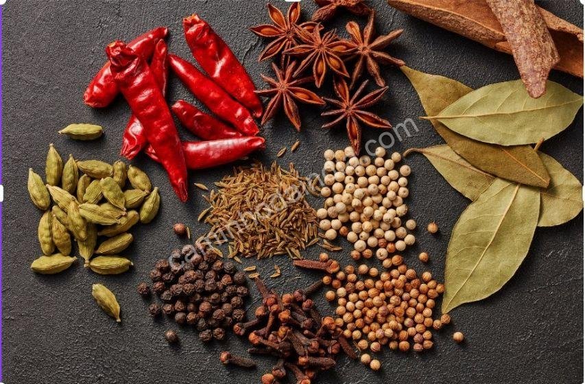 especiarias-indianas Variedade de especiarias indianas tradicionais