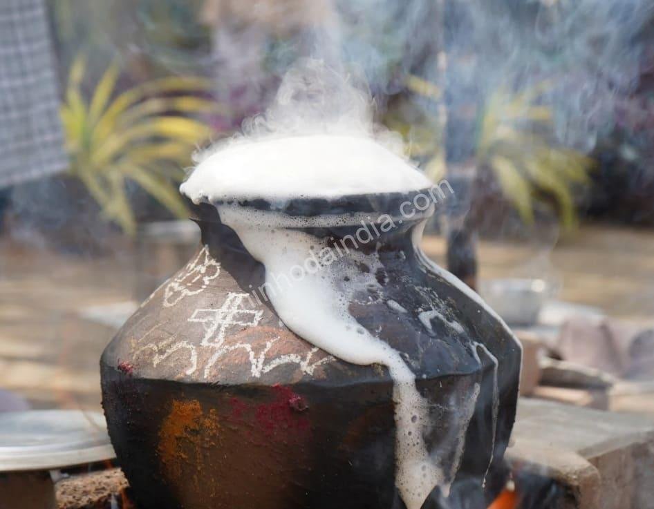 arroz-transbordando-panela-pongal O arroz transbordando da panela simboliza abundância e bênçãos durante o pongal festival em tamil nadu