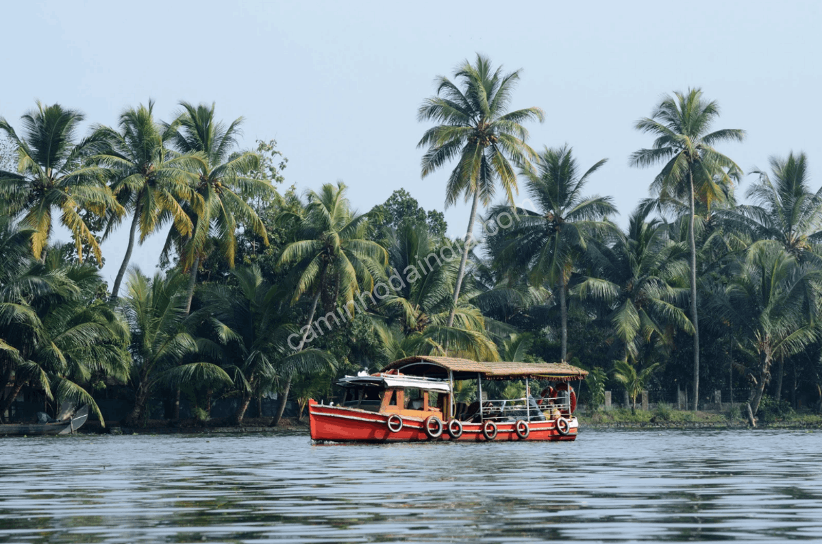 backwaters-kerala-outono-india Os backwaters de Kerala no outono revelam uma paisagem serena de canais naturais, palmeiras, coqueiros e vida rural às margens da água