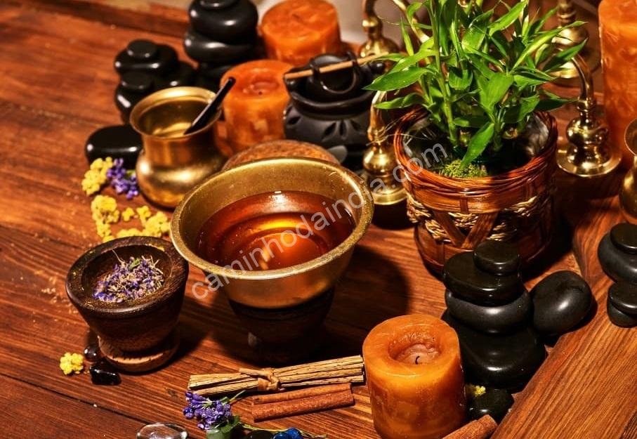 ervas-ayurvedicas-centro-ayurveda Ervas ayurvédicas essenciais em centros de Ayurveda, usadas para promover saúde, equilíbrio e bem-estar natural