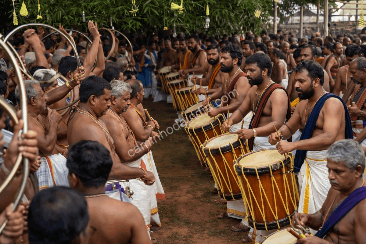 ilanjithara-melam-thrissur-pooram-kerala Ilanjithara Melam durante o Thrissur Pooram em Thrissur, Kerala